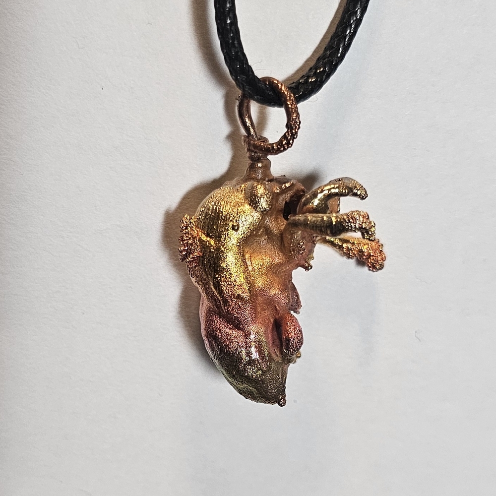 Cicada Shell Decorative Electroformed Cicada Shell - Picture 2 of 5